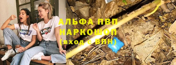 apvp Арсеньев