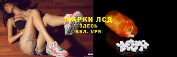 сатива Пересвет