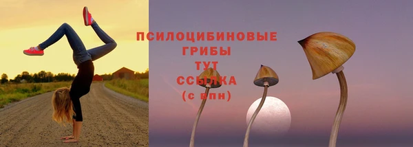 соль ск Аркадак