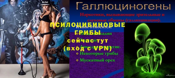 apvp Арсеньев